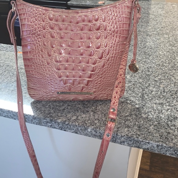 Brhamin - Picture 5 of 8